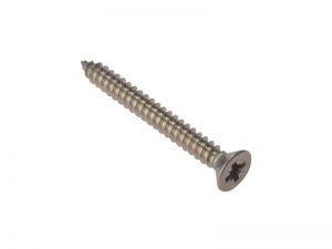 Ang China Manufacturer Ss Interference Screw
